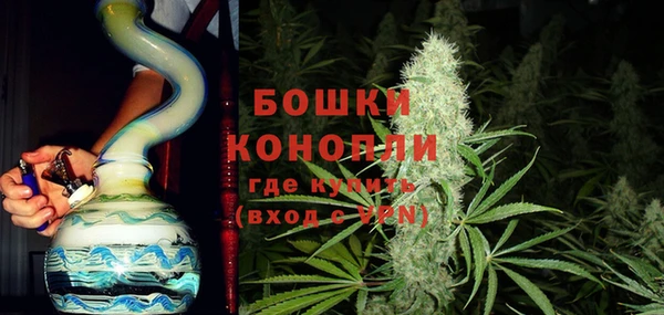 ПСИЛОЦИБИНОВЫЕ ГРИБЫ Елизово