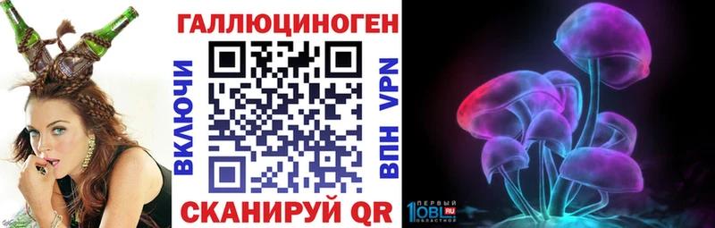 Купить где  Жирновск  Псилоцибиновые грибы Psilocybine cubensis 